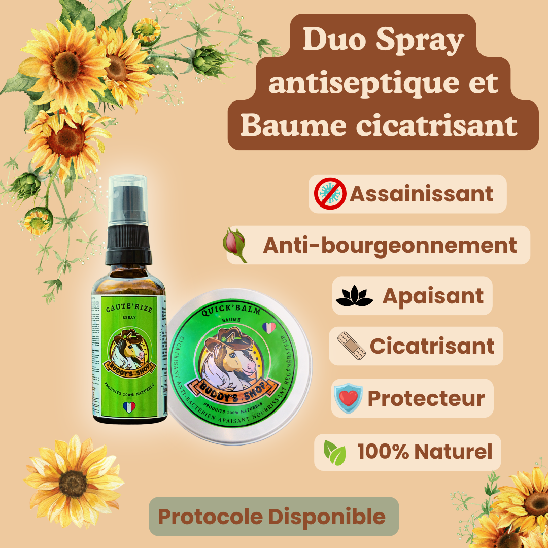 Duo Spray antiseptique et Baume cicatrisant