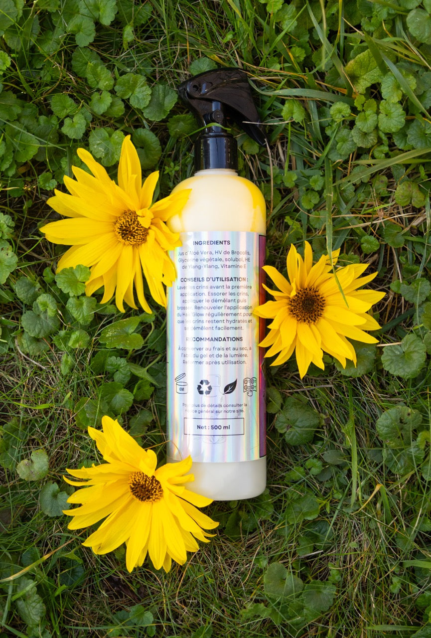 Duo Hair'Glow et Hair'Shine