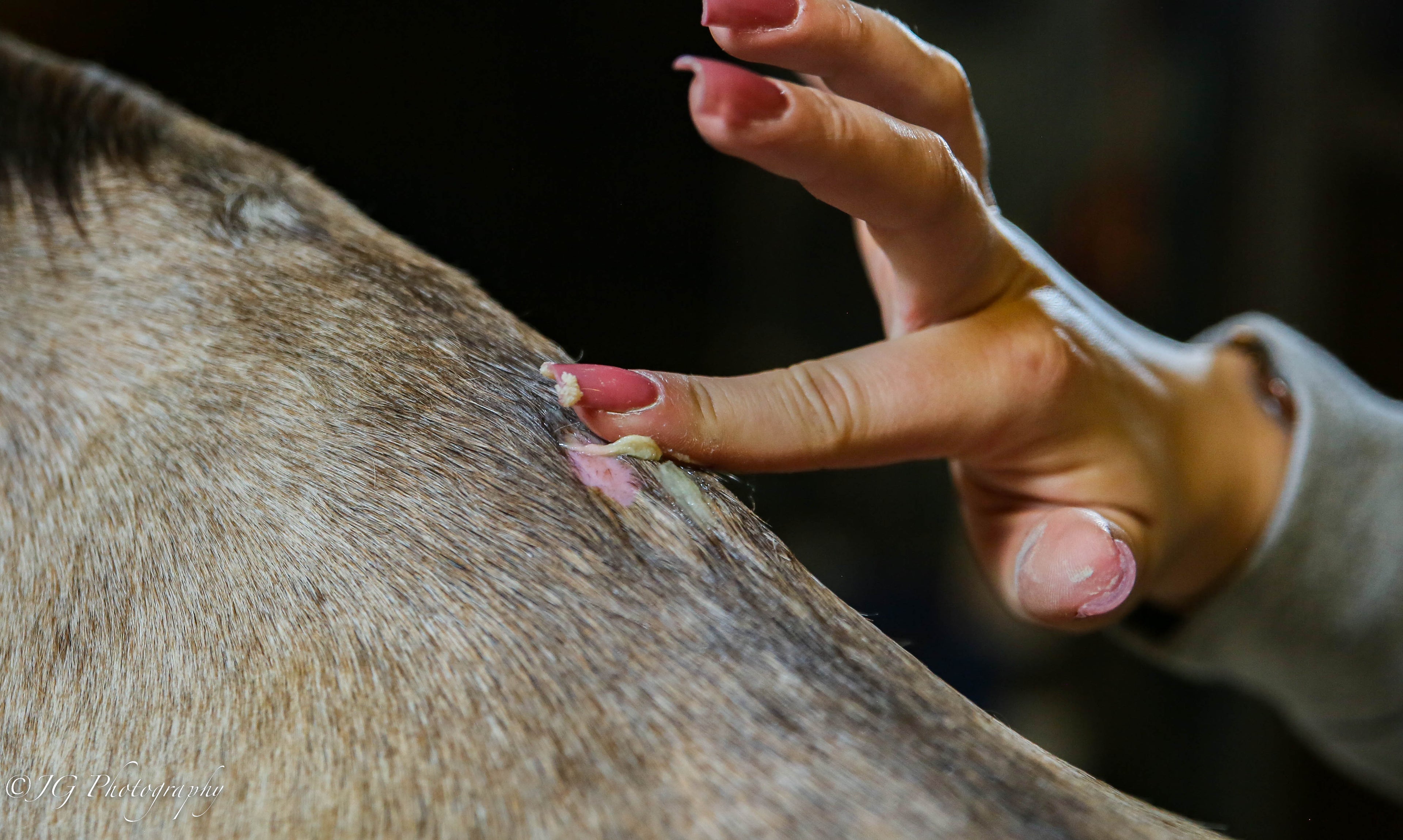 Duo Spray antiseptique et Baume cicatrisant