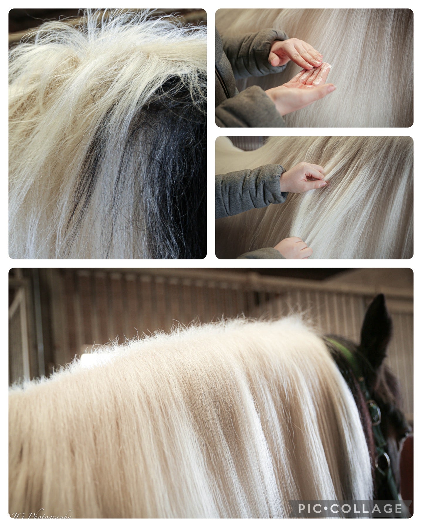 Duo Hair'Glow et Hair'Shine