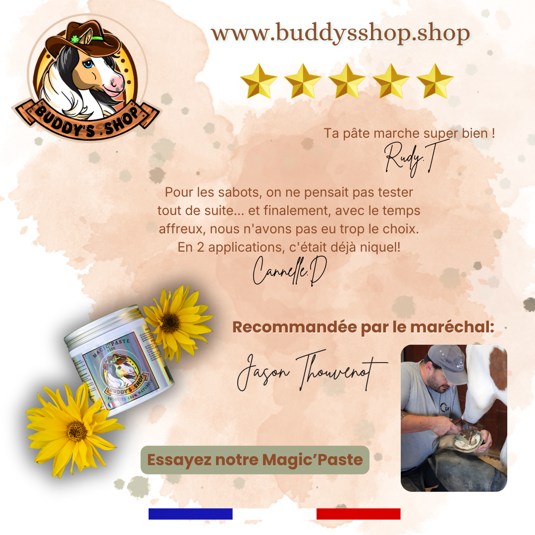 Duo Magic'Paste et Sabot'Fort