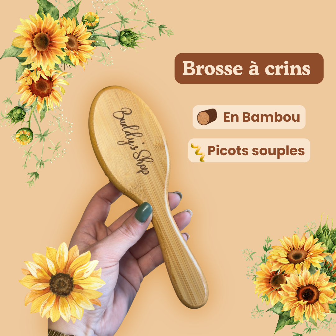 Brosse à crins